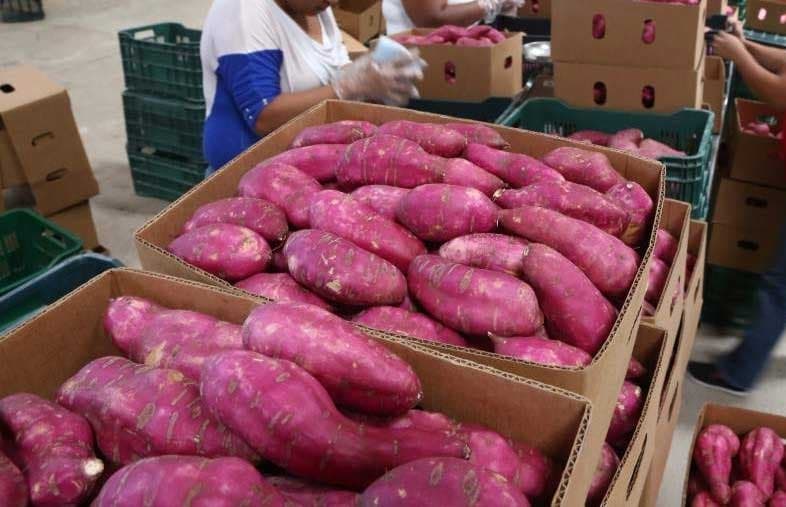 Fresh Mia Produce - Slide 4