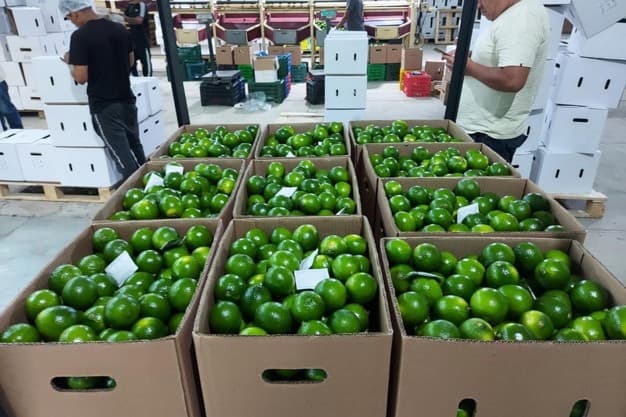 Fresh Mia Produce - Slide 5