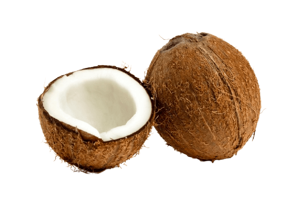 Coconuts