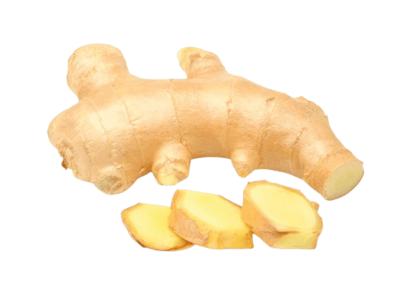 Ginger