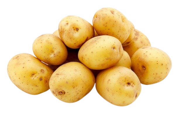 Potato