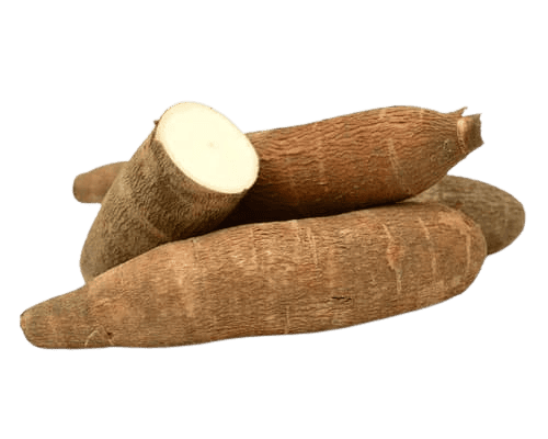 Yuca