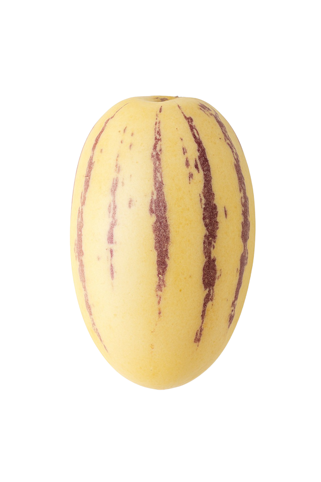 Pepino Melon